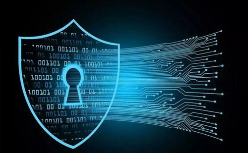 堅(jiān)持防御型投資在互聯(lián)網(wǎng)信息服務(wù)領(lǐng)域的價(jià)值與回報(bào)