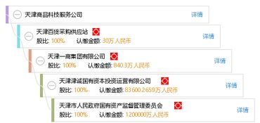 天津商品科技服務(wù)公司的軟件開(kāi)發(fā)實(shí)踐與創(chuàng)新探索